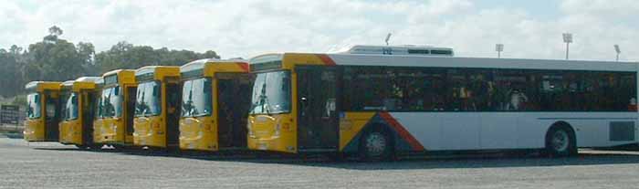 Adelaide Metro Scania Volgrens